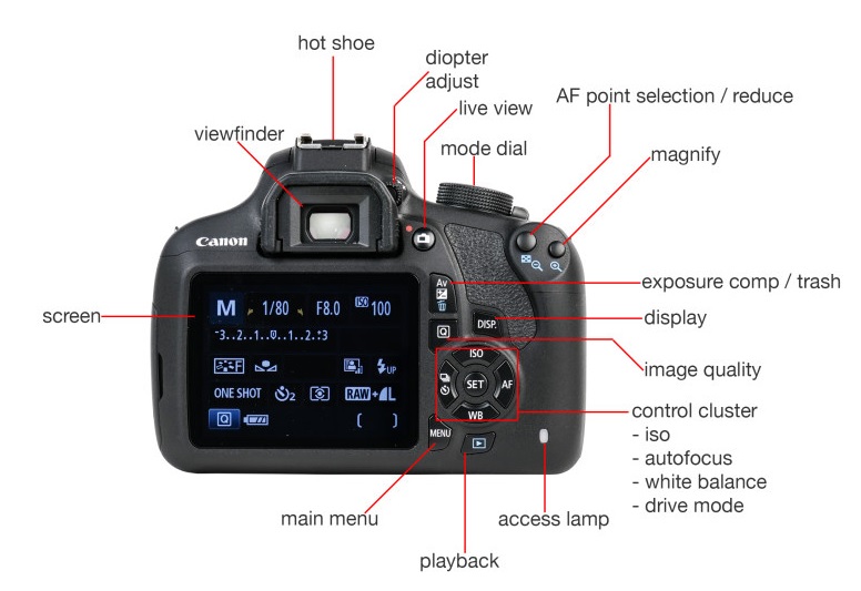 Что значит не канон. Карта памяти для фотоаппарата Canon 600d. Canon EOS 500d экран видоискателя. Кроп камеры Canon. Видоискатель фотоаппарата Canon 600d.