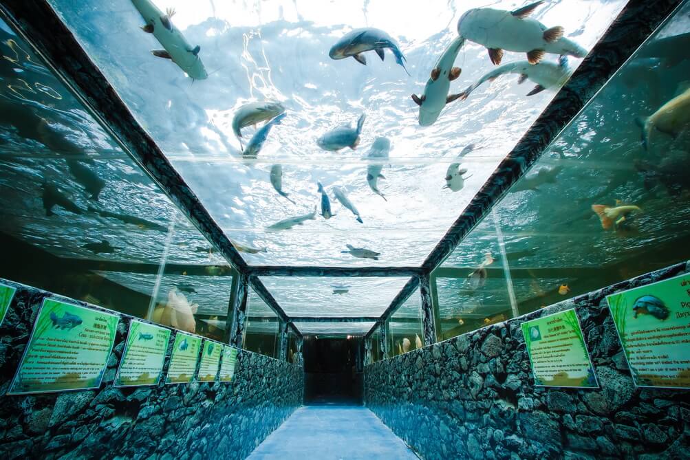 Фото аквариума Monsters World & Aquarium в Паттайе