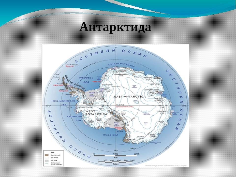 Антарктида находится сразу в трех полушариях какое. Антарктида на карте. Физическая карта Антарктиды. Антарктида материк на глобусе.