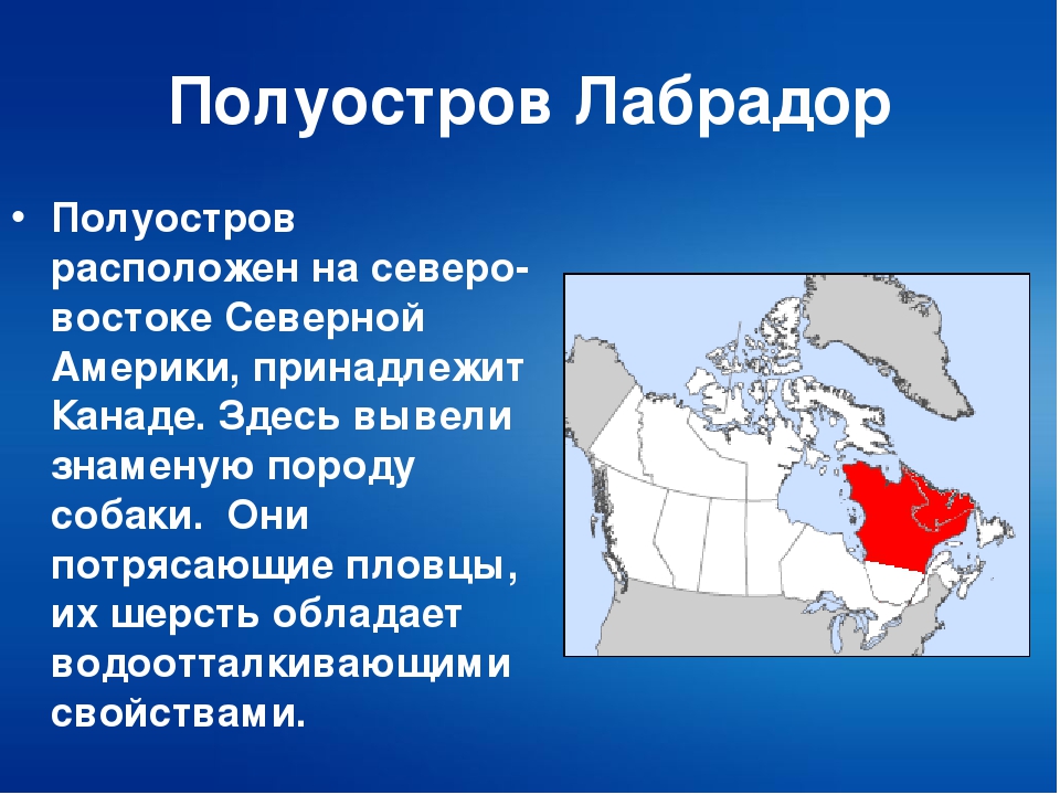 Лабрадор география. Полуостров лабрадор на карте Северной Америки. П-ов лабрадор на карте Северной Америки. На карте географической полуостров лабрадор.