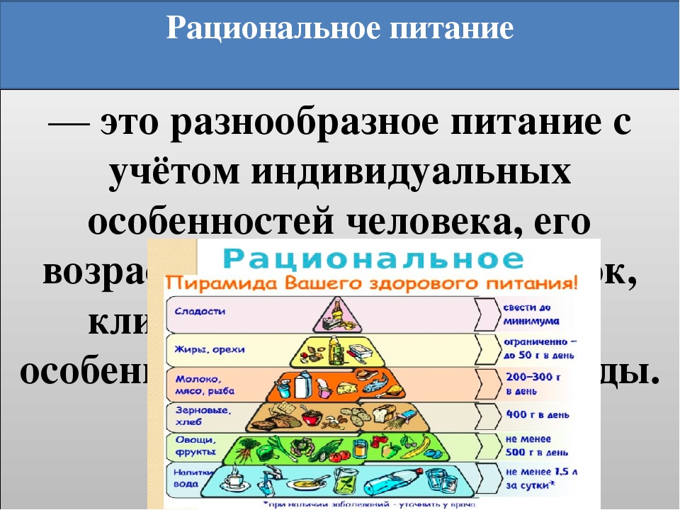 Презентация на тему правильное питание по обж