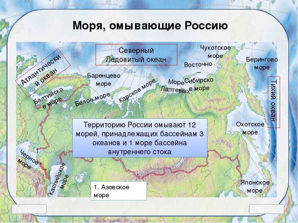 5 морей на карте россии. Моря омывающие Россию. Моря и океаны омывающие Россию на карте. Моря омывающииероссию. Моря омывающие Россию на карте.