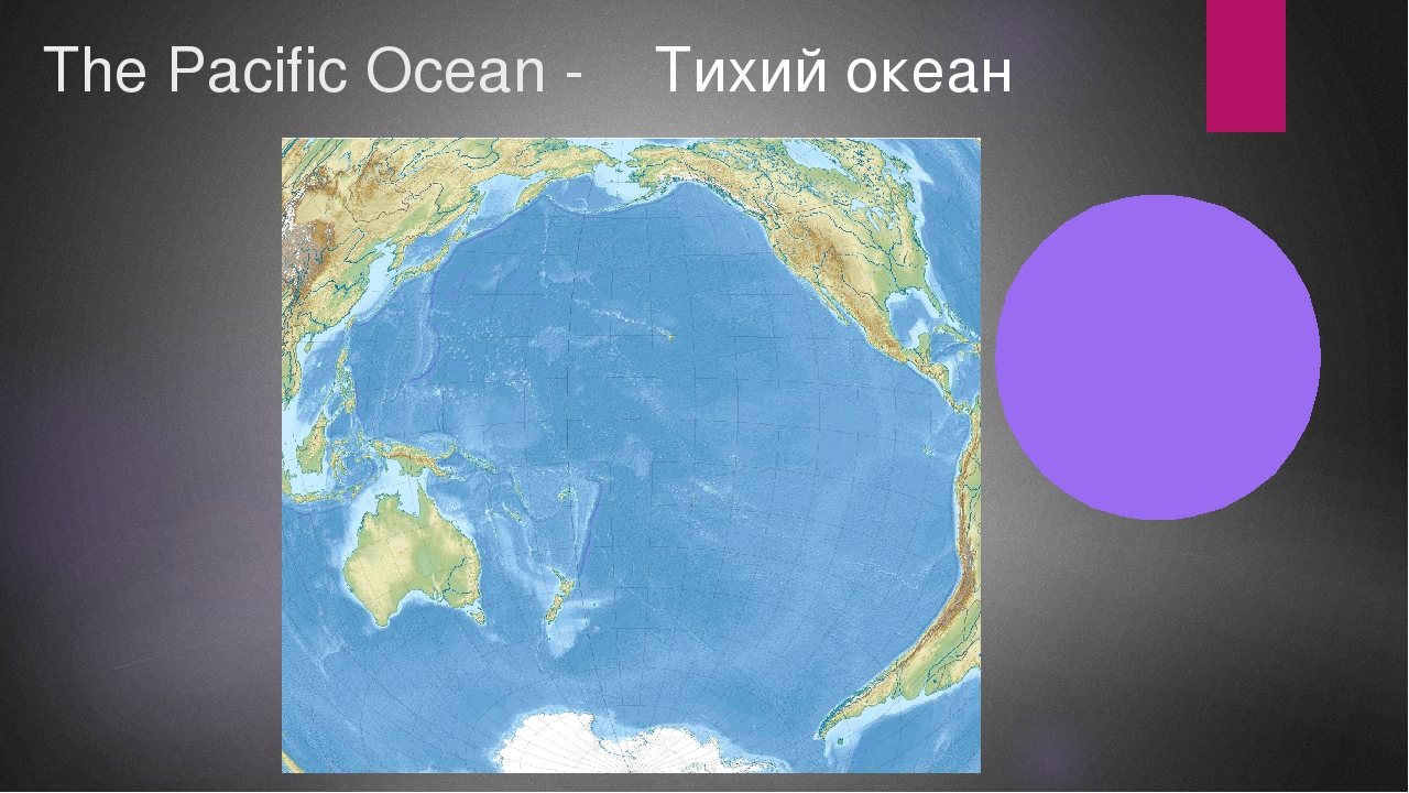 Тихий океан занимает площадь. Тихий океан на карте. Площадь Тихого океана. Территория Тихого океана. Площадь тихогоьокеана.