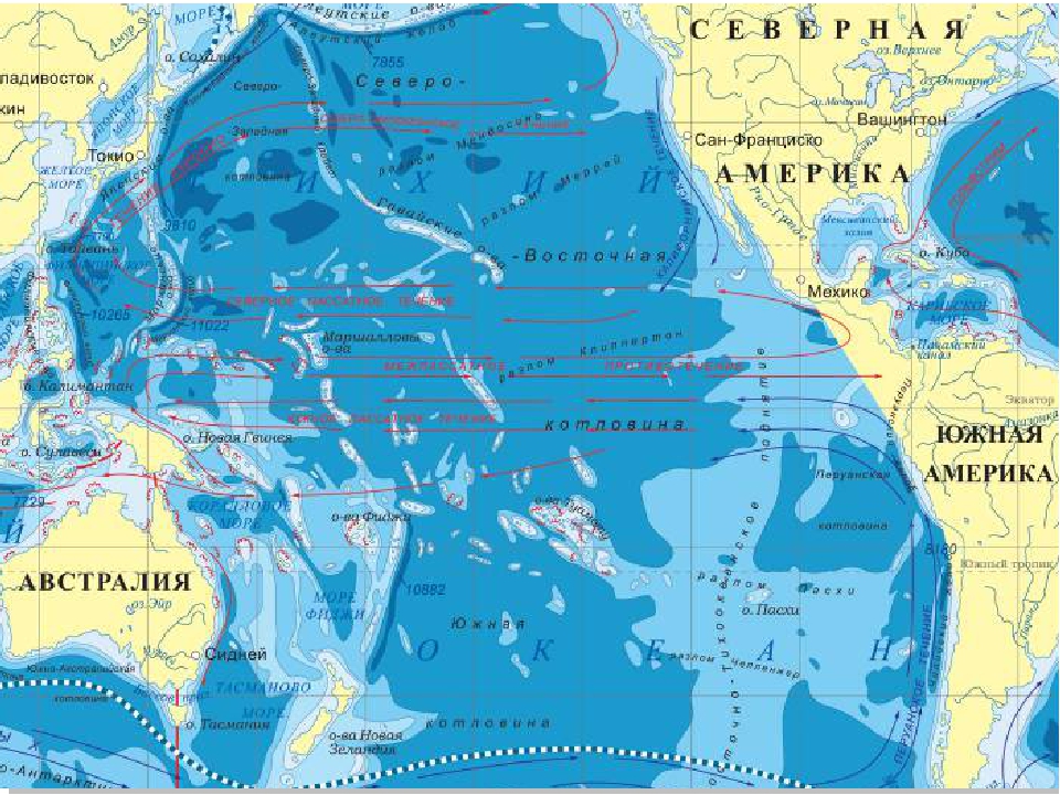 Океаны восточной европы. Северная часть Тихого океана на карте. Тихий океан на карте. Карта рельефа Тихого океана. Северо-Восточная котловина Тихого океана.