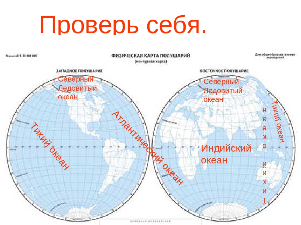 Какие океаны расположены в северном полушарии. Где находится Атлантический океан на карте полушарий. Карта материков и полушарий 4 класс. Карта полушарий с материками и Океанами. Океаны на физической карте полушарий.