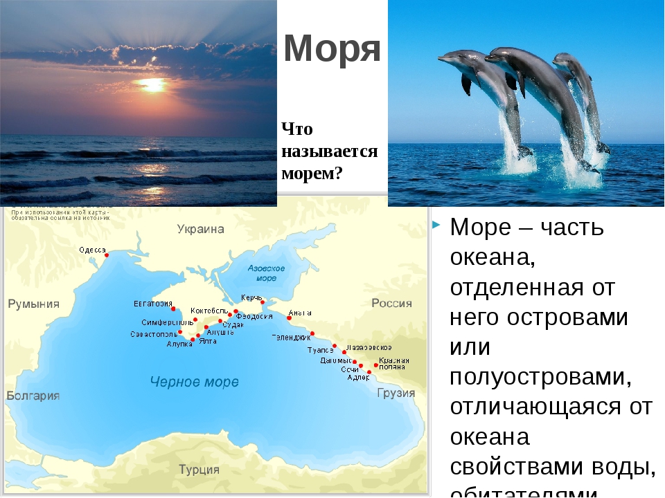 Назвать океаны россии. Название морей. Моря география. Море и его части. Море часть океана.