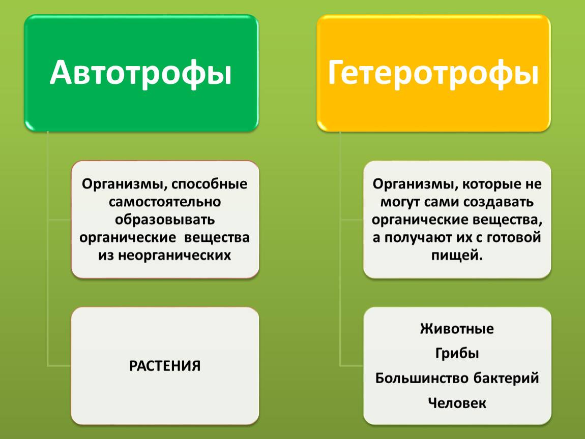 Бактерии способные образовывать органические вещества из неорганических. Воздушное питание растений фотосинтез. Воздушное питание растений фотосинтез 6. Воздушный Тип питания растений. Воздушное питание характерно для.