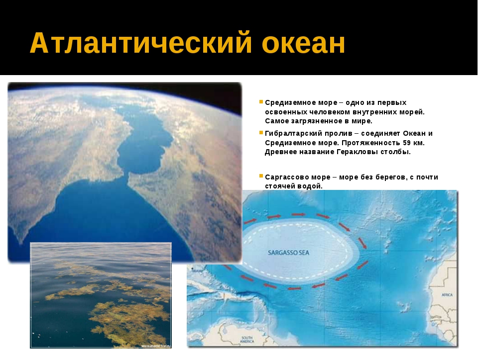 Назвать моря атлантического океана. Средиземное море и Атлантический океан. Презентация на тему:Атлантический океан: воды. Граница Тихого и Атлантического океана. Атлантический океан и тихий океан граница.