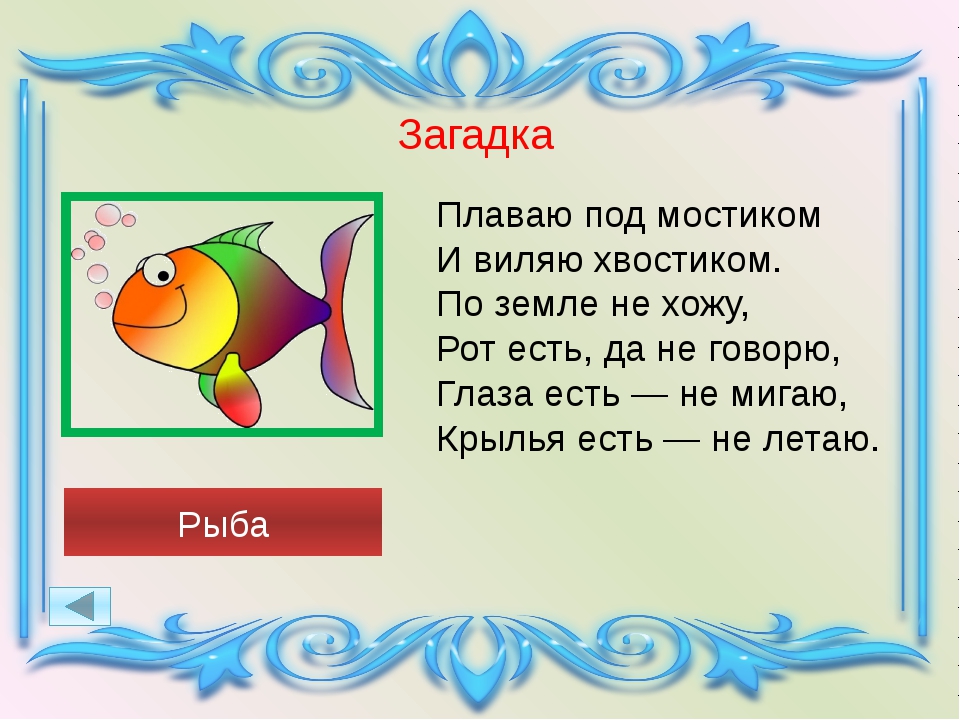 Предложение со словом рыбалка. Загадки про рыб. Загадка про рыбку. Загадка про рыбку для детей. Стихи про рыб.