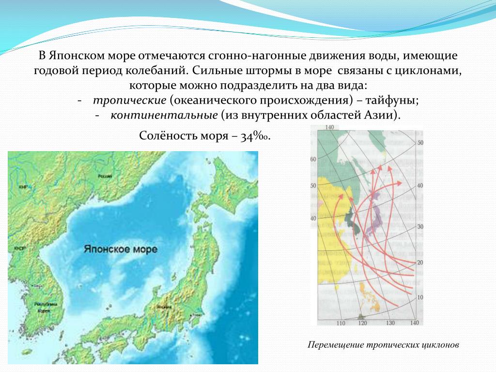 Береговая линия глубина. Японское море ГП. Береговая линия японского моря. Глубина японского моря. Японское море презентация.