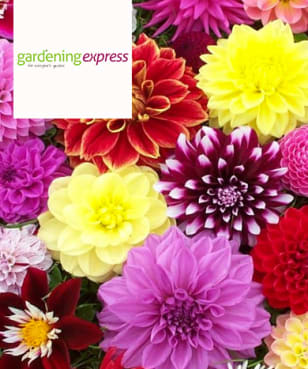 Gardening Express - £10 Off