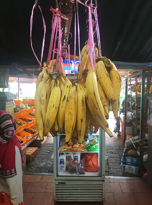 Огромные бананы на прилавках в Маленькой Индии