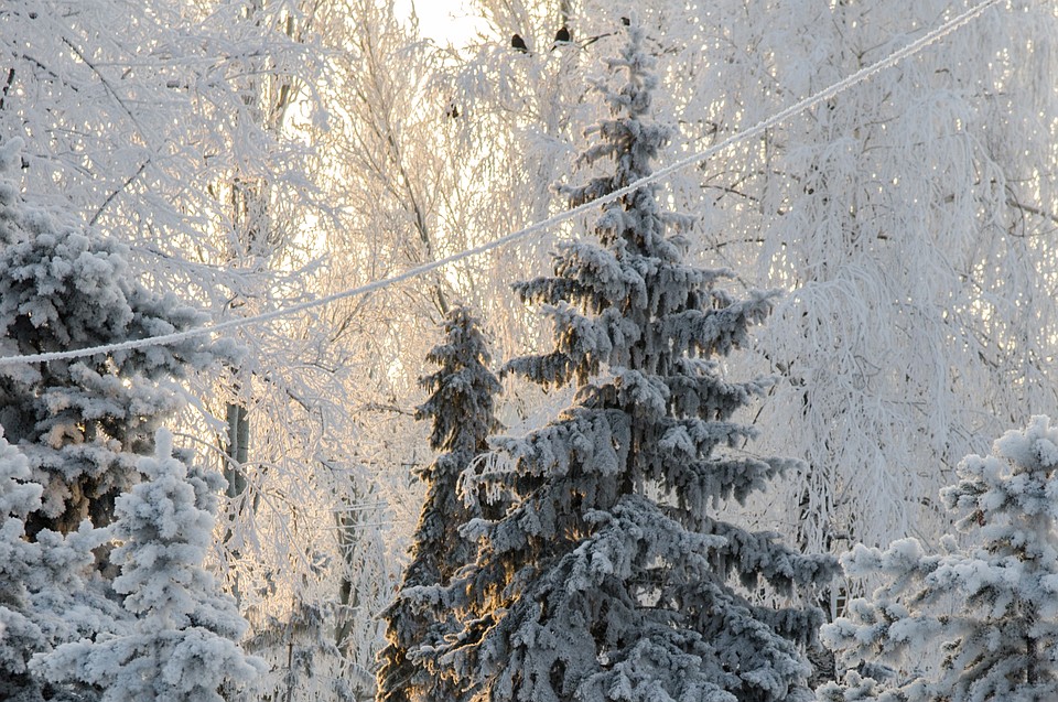 Остаемся зимовать: идеи для путешествий на Новый год и не только Фото: Андрей ЦЫГАНОВ