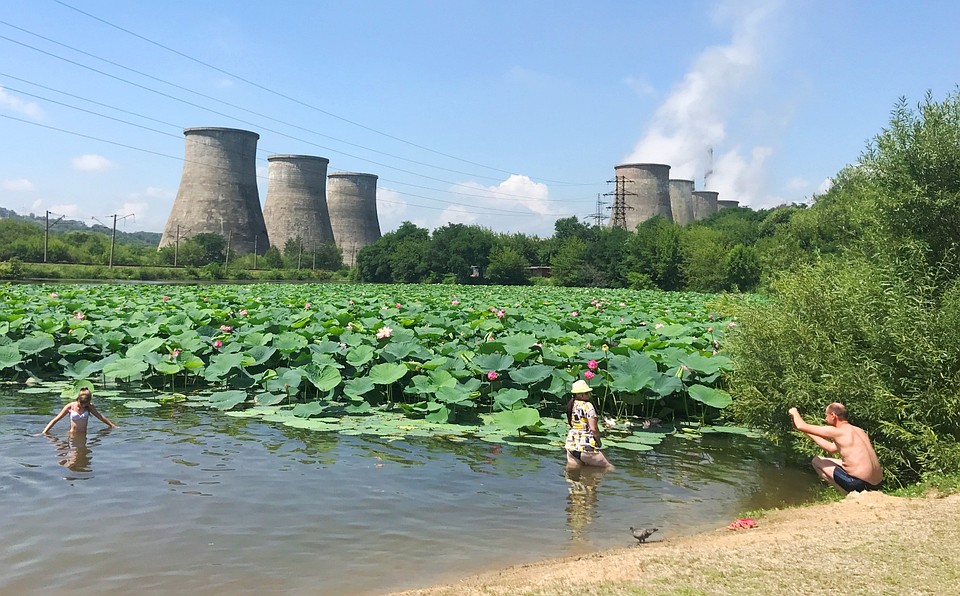 В период цветения лотосов это озеро - рай для инстаблогеров. Фото: паблик 2go_vl 
