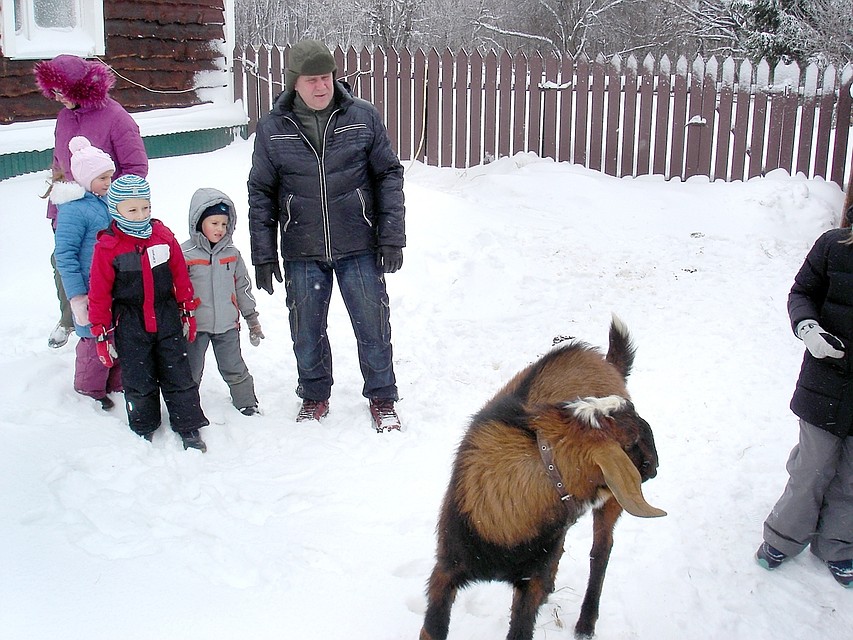 Отдохни по-зимнему в Самарской области 
