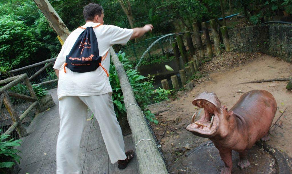 Интересная прогулка по зоопарку Кхао-Кхео в Паттайи