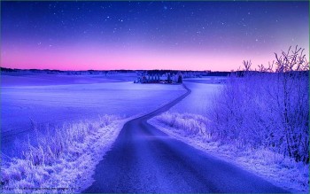 Природа Норвегии - зимняя дорога посреди полей - фото