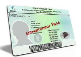 Employment Pass 